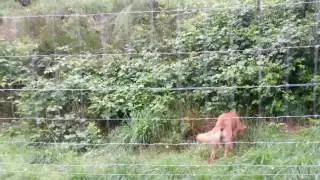 Vakantie foto's van België