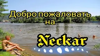 Прогулка по реке Некар. Штутгарт. Германия.