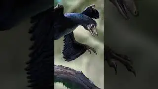 Did dinosaurs hunt our ancestors? 