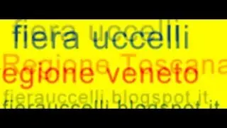 #myyearonyoutube animals | calendario fiere degli  uccelli regione per regione