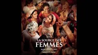 Armand Amar - La source des femmes