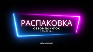 #Распаковка с Садовода. #Обувь, #одежда по 200₽. #Ожиданиереальность