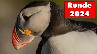 Runde 2024