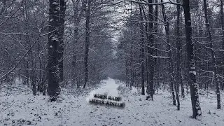 When Rain Meets Winter