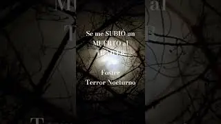 #Short Relatos de traileros