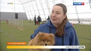 09 03 2022 Федеральный проект 