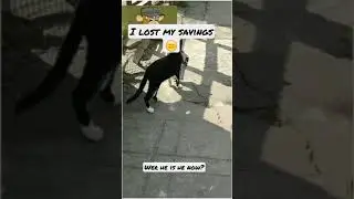 i lose my savings 😂[meme clip] funny video