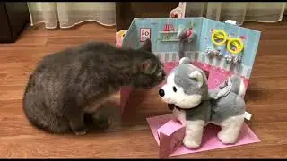 Игрушка Хаски на поводке Интерактивная игрушка собака поет танцует