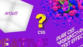 Top 5 CSS Effects | CSS Effects For 2024