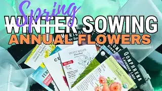 April Winter Sowing: Tender Annuals and Tomatoes