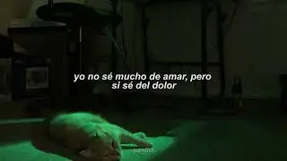 220 - DILLOM | Letra