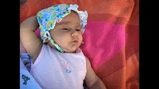 vamos a la playa calienta el sol