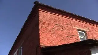 Дикий рой в доме