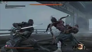 Sekiro Bosses 2.5x