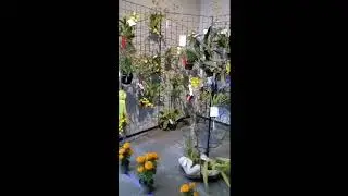 Un vistazo rápido a la exposición de otoño 2019