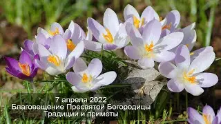 7 апреля 2022 Благовещение Пресвятой Богородицы.  Приметы.