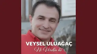 Ne Verdinki