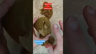 полное видео в канале на ютуб