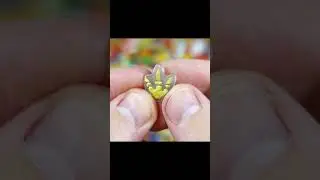 ЛАПА СВЕТИТСЯ разными цветами. Редкие ЗАВРЫ  