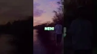 MVÄ - EL ZORRO