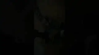 Montajga nechchii????Komentariya yozilachi  