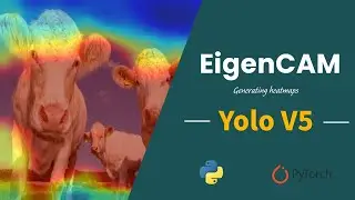 Heat Maps  | Yolov5 object detection