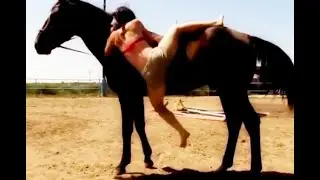Cute Rural Girl Start Take Care Horse 2019