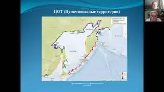 «Численное моделирование воздействия цунами в программе „Ansys 19.2“»