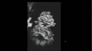 night vision