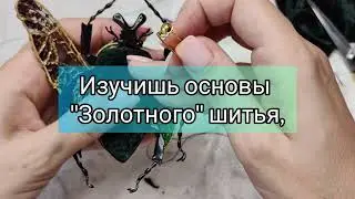 РЕГИСТРАЦИЯ НА МАРАФОН "ЖУК ГОЛИАФ"