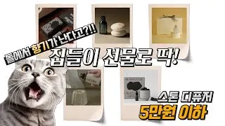 집들이 선물용으로 좋아요~🤩 5만원 이하 ㅣ나만 알고 싶은 ✨특별한✨ 디퓨저~ㅣ스톤 디퓨저ㅣ돌퓨저