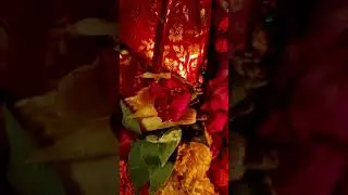 Chandi path ...preparing for ashtami puja