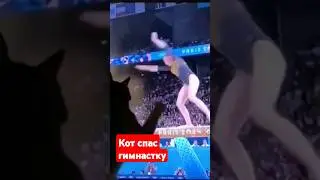 #олимпиада #дальнобой #гимнасты