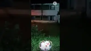 SUARANYA MEMBUAT BULU ROMA MEREMANG