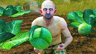 Prepare the battle cabbages. we're going to war.