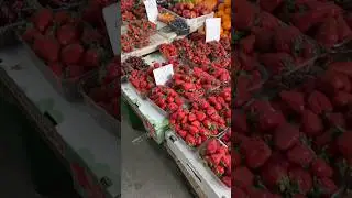 Таганрог Клубника Рынок 