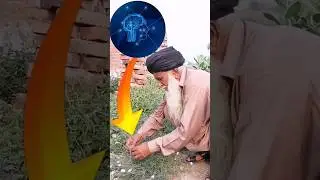 unlock your brain | sankhpushpi ke fayde | sankhaholi benefits #farooqidawakhana #herbs #brain