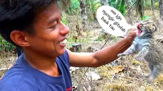 BERBURU SARANG IKAN LEMBAT KETEMU ANAK MACAN