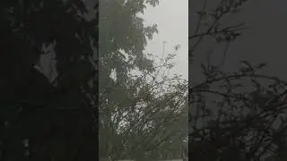 Raining🌧🌧🌧