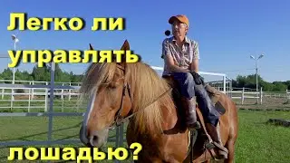 Легко ли управлять лошадью?