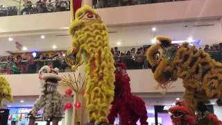 Yick Nam Lion Dance 2017