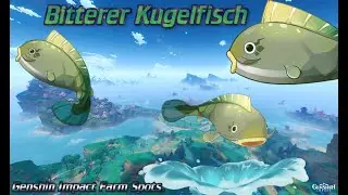 Genshin Impact Mondstadt/Inazuma/Große Kluft Angelstelle/Angelpunkt: Bitterer Kugelfisch /Farm Spots