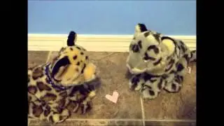 Webkinz Music Video ~♦Sky Full Of Stars♦~
