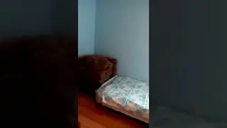 Посуточное жилье в Мукачево ID3094776