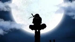 Ninja Forex EA XX2
