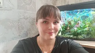 Новий день! ОМЛЕТ З ОВОЧАМИ! Огляд покупок!