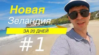 День 1. Из Окленда в Коромандел. Новая Зеландия за 20 дней