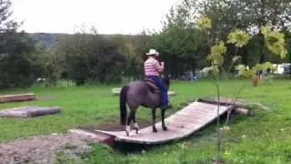 Mark Bolender & Donuts Tin Lhizzy