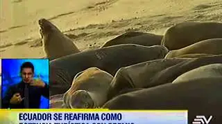 Las Galápagos se llevan el premio como la mejor isla de Centro y Sudamérica