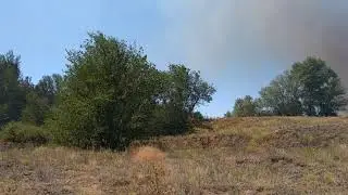 Горят поля возле садов Новотроицк 16.07.2019